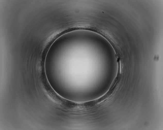 X0000090860252200707271235