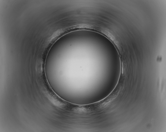 X0000090860253200707271235