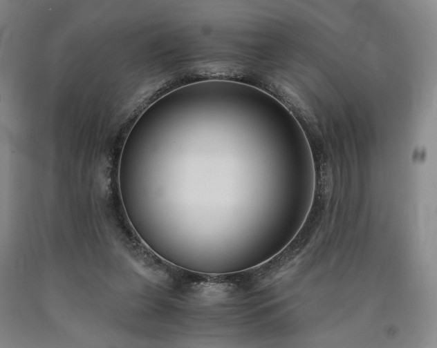 X0000090860255200707271235