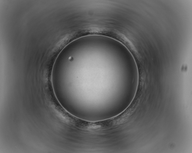 X0000090860257200707271235
