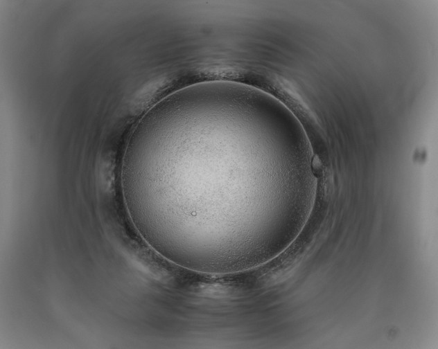X0000090860259200707271235