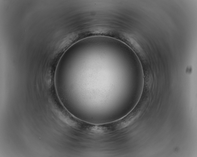 X0000090860261200707271235