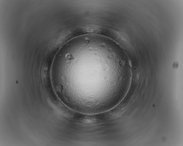 X0000090860263200707271235