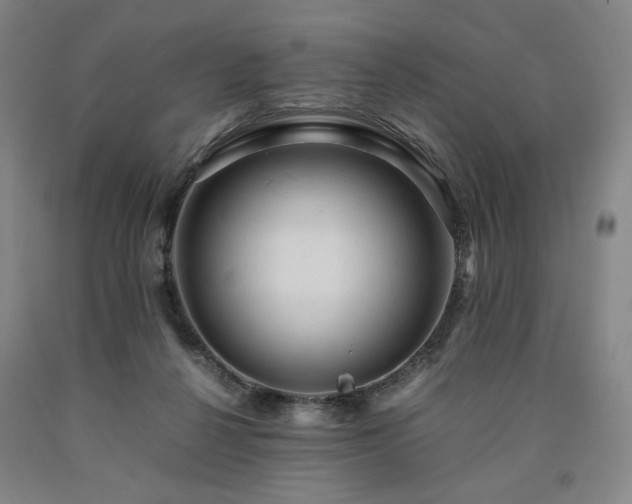 X0000090860264200707271235