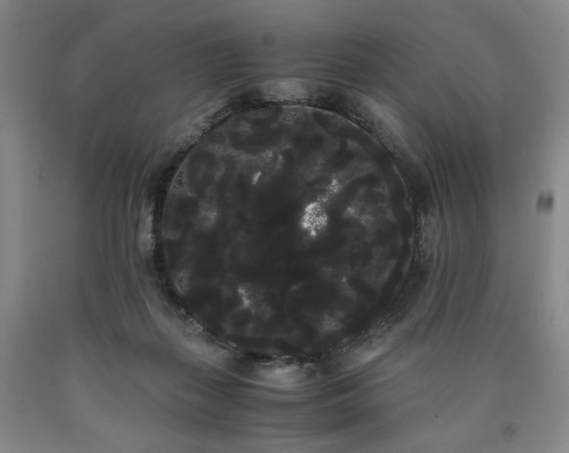 X0000090860267200707271235