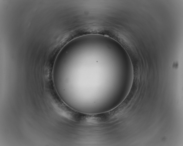 X0000090860268200707271235