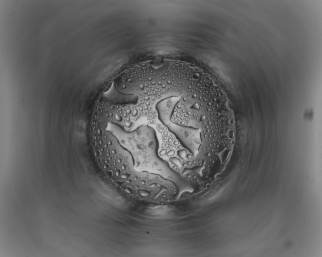 X0000090860269200707271235