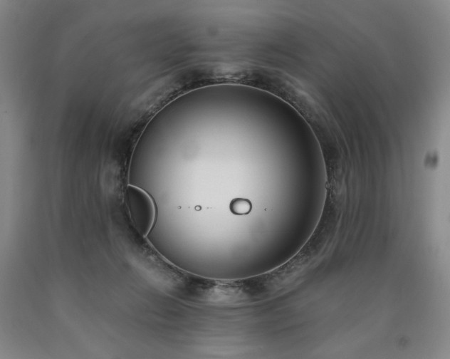 X0000090860270200707271235