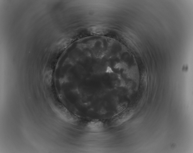 X0000090860271200707271235