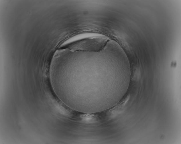 X0000090860273200707271235