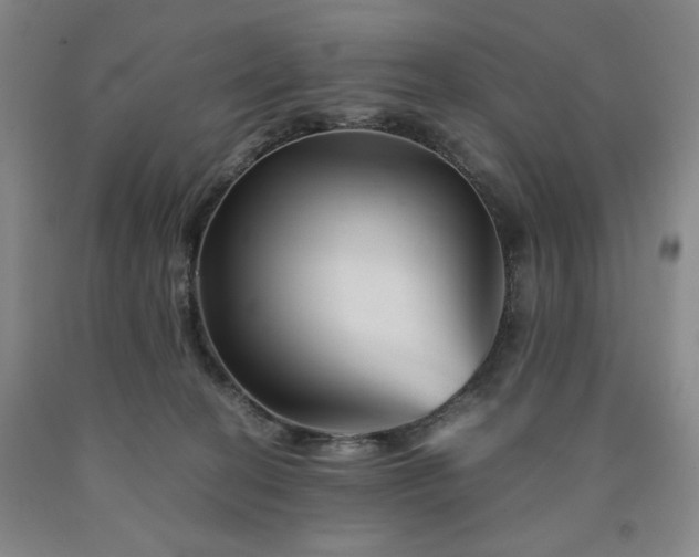X0000090860274200707271235