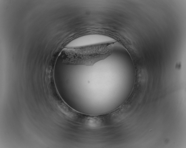 X0000090860275200707271235