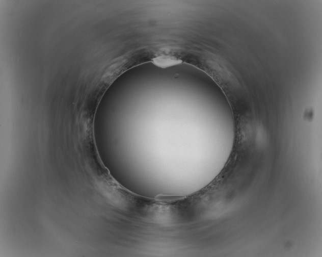 X0000090860276200707271235