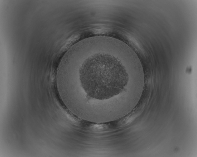 X0000090860277200707271235