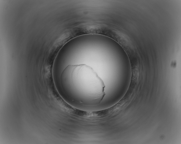 X0000090860278200707271235