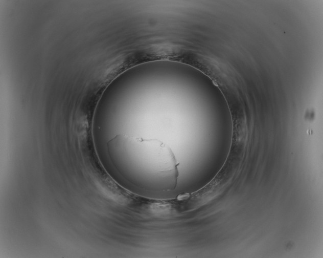 X0000090860279200707271235