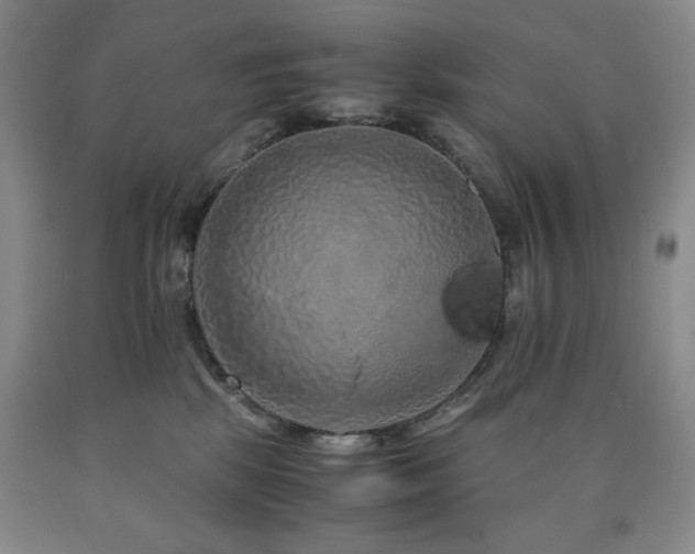 X0000090860281200707271235