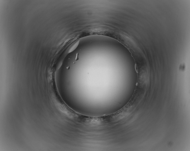X0000090860282200707271235