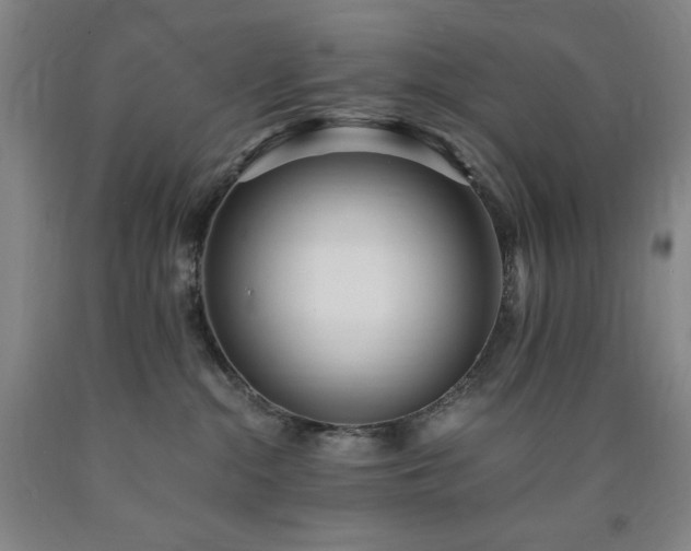 X0000090860284200707271235