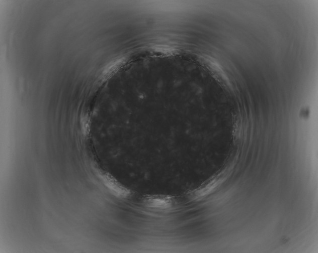 X0000090860285200707271235