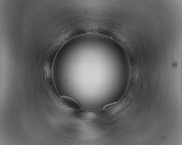 X0000090860287200707271235