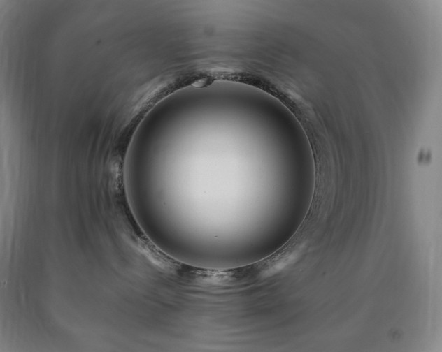 X0000090860288200707271235