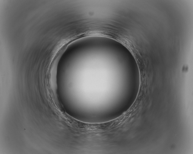X0000090860289200707271235