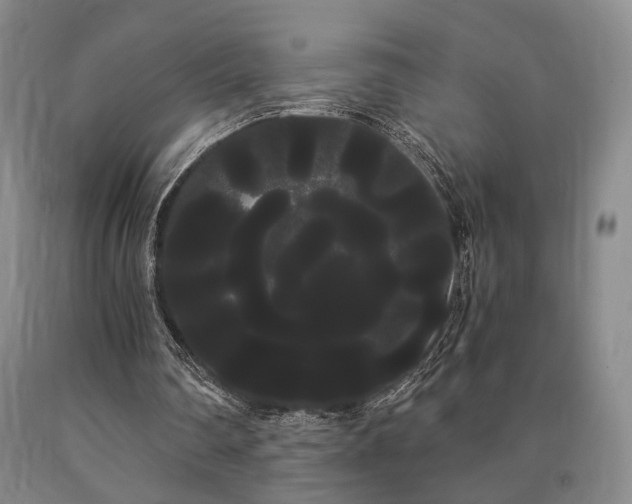 X0000090860290200707271235