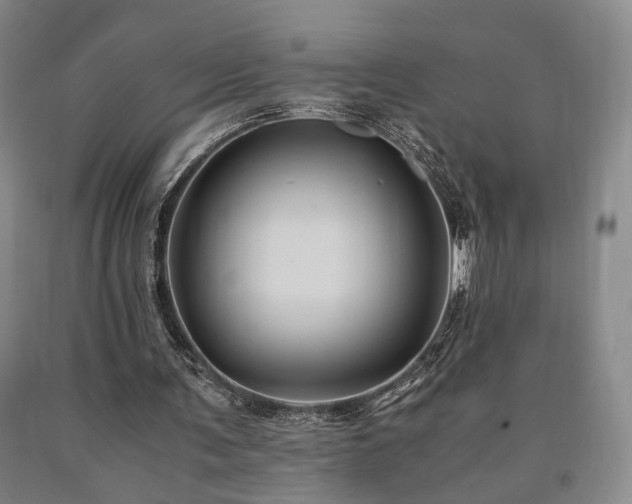 X0000090860291200707271235