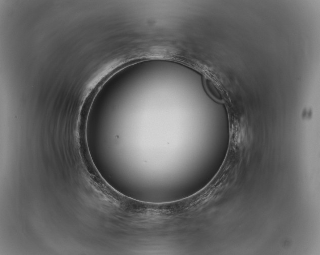 X0000090860292200707271235