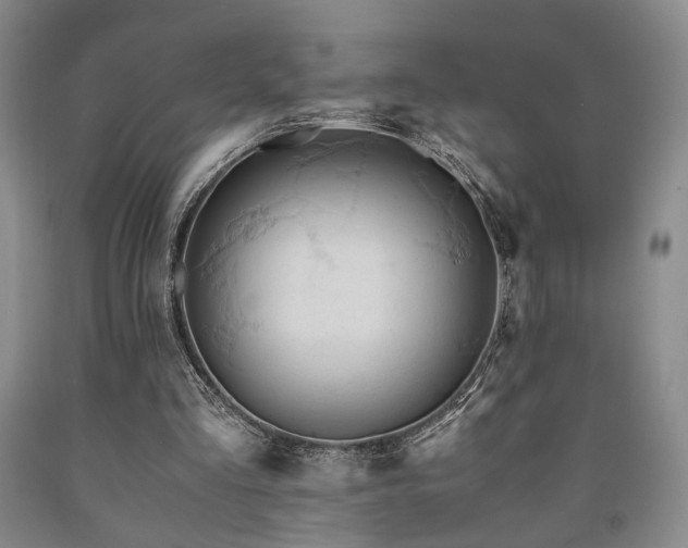 X0000090860293200707271235