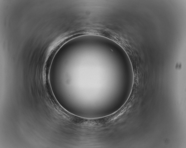 X0000090860294200707271235