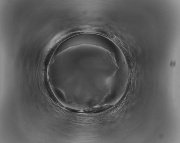 X0000090860295200707271235