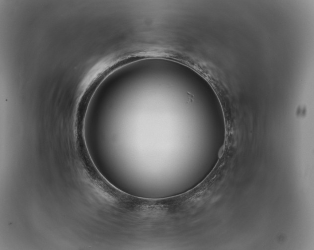 X0000090860296200707271235