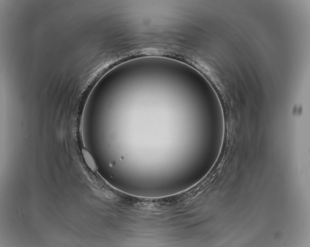 X0000090860297200707271235