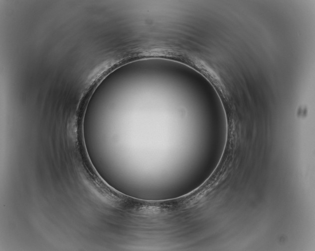 X0000090860298200707271235