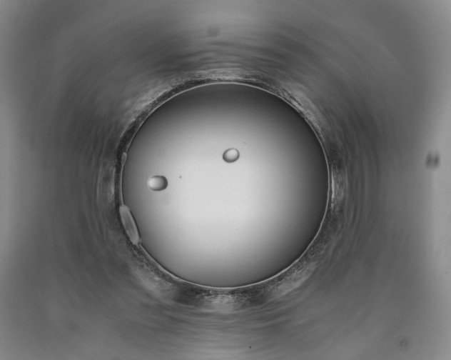 X0000090860301200707271235
