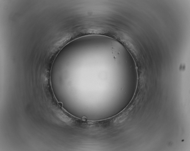X0000090860305200707271234