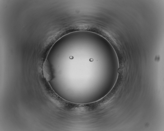X0000090860307200707271234