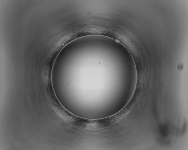 X0000090860309200707271234