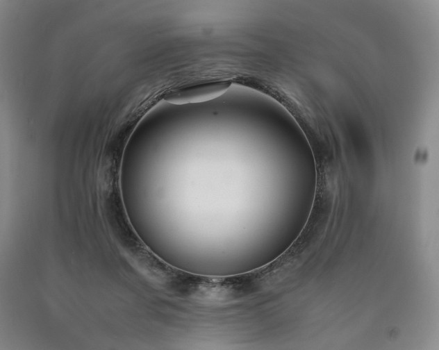 X0000090860311200707271234