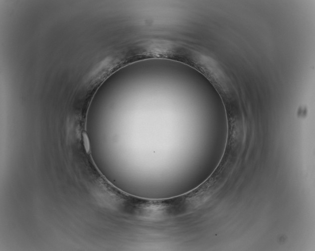 X0000090860313200707271234