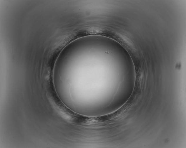 X0000090860315200707271234