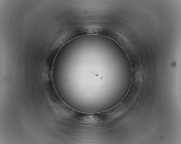 X0000090860316200707271234