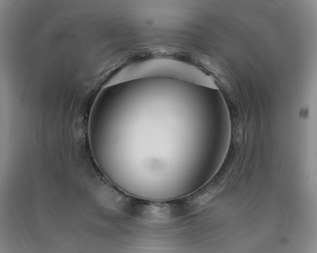 X0000090860317200707271234