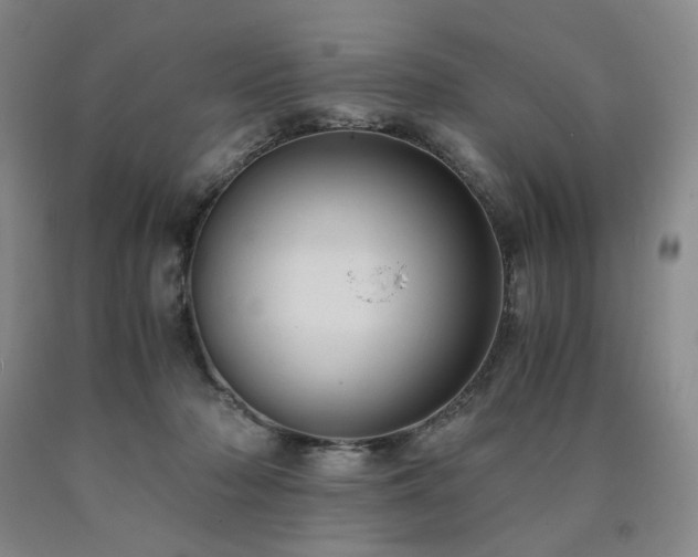 X0000090860318200707271234