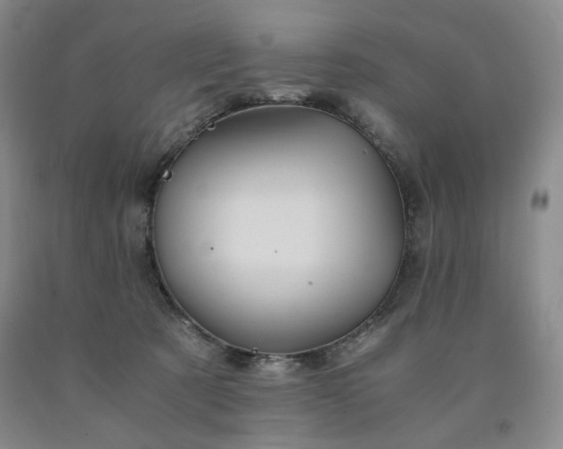 X0000090860321200707271234