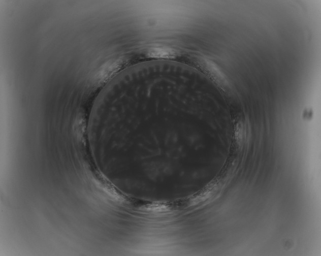 X0000090860322200707271234