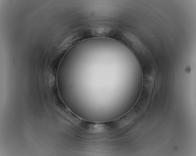 X0000090860324200707271234