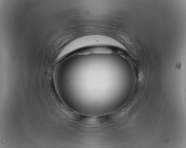 X0000090860325200707271234